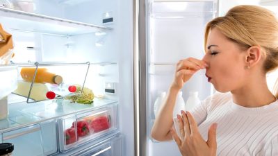 Как убрать запах из холодильника: простые способы для дома