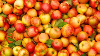 К чему снится яблоко: толкование по цвету, вкусу и действиям