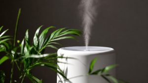 Зволожувач повітря: користь і шкода