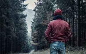 Заблудиться во сне и искать дорогу – к чему снится