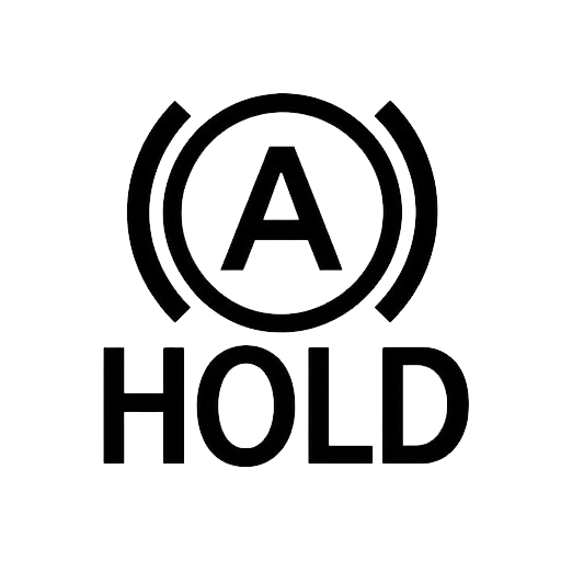 Білий індикатор Auto Hold Nissan Leaf